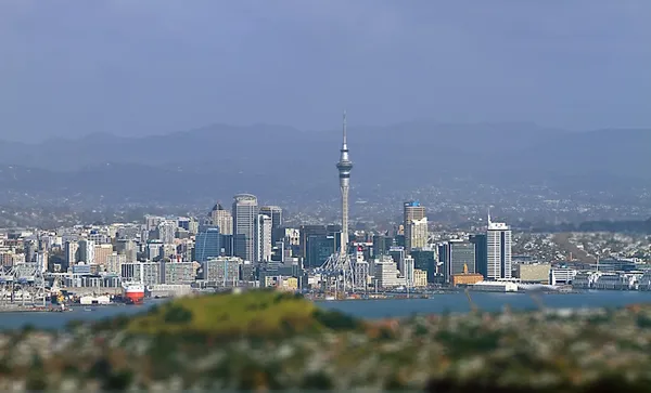 auckland-50532_1280