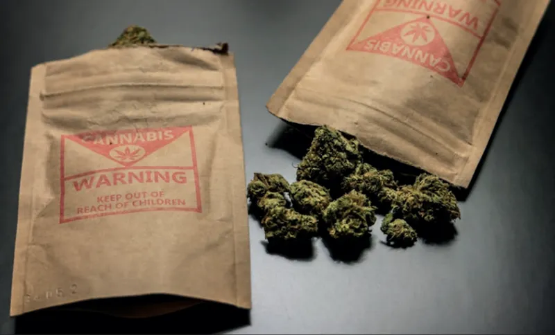 Cannabis featured image