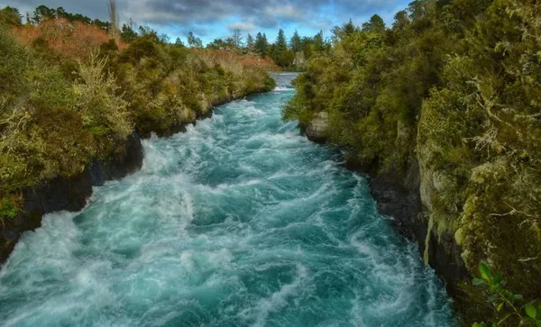 Waikato River Amidst Forest Against Sky