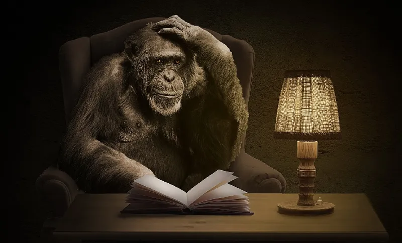 monkey