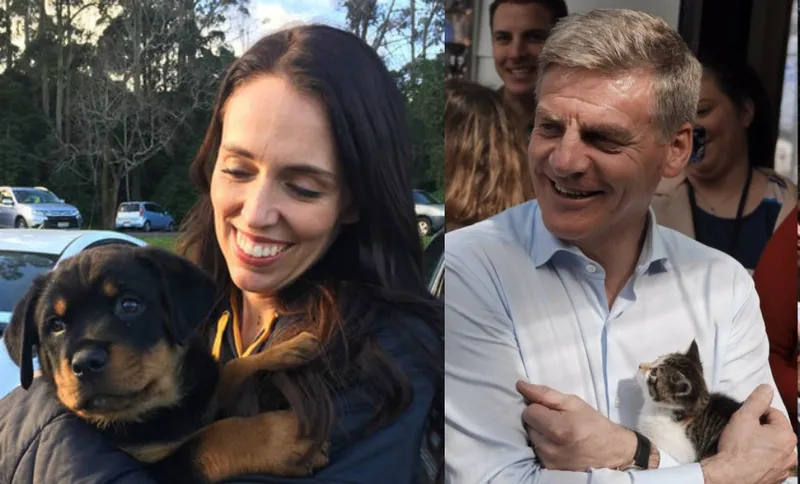 politics of love