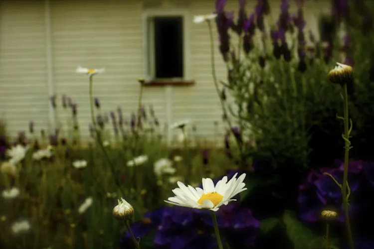 house 1