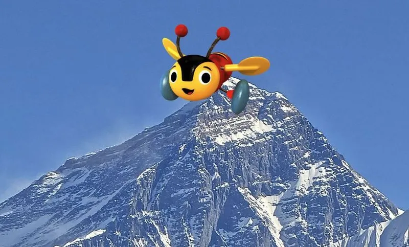 buzzverest