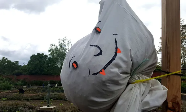 scarecrow_001