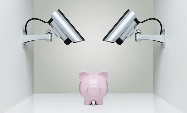Security Cameras watching a piggy bank
