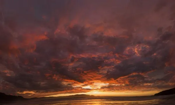 Dawn inferno Curio Bay New Zealand