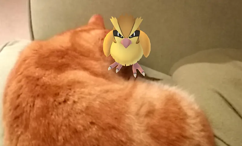 pokemon go main