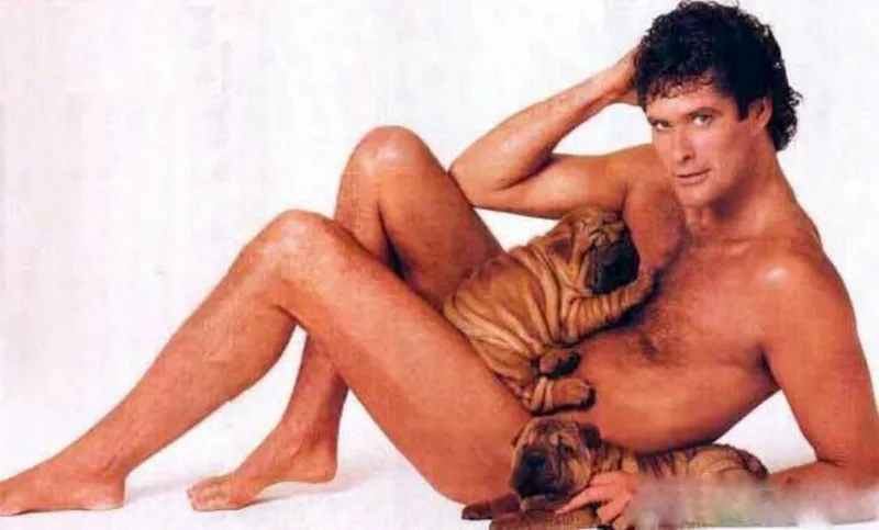 hoffdog
