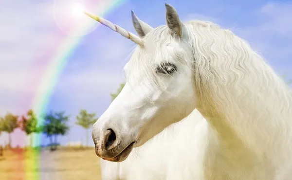 Unicorn