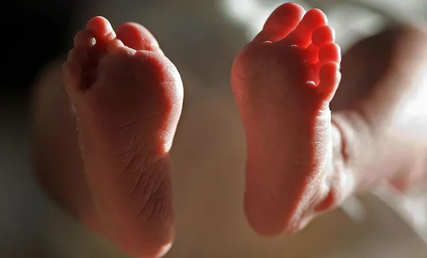 Midwife care in New Zealand
