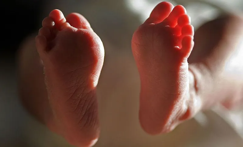 Midwife care in New Zealand