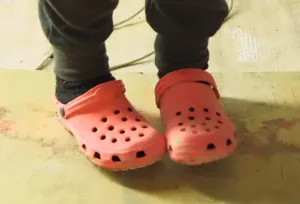 Wolf vs Croc