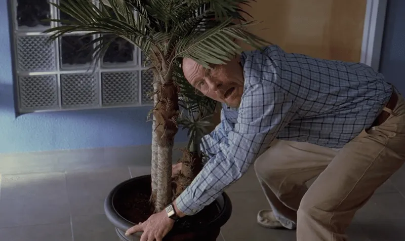 potplant (1)