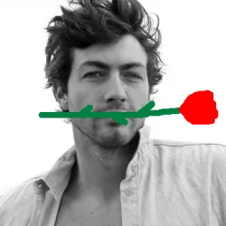 the bachelor