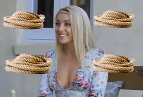 plait