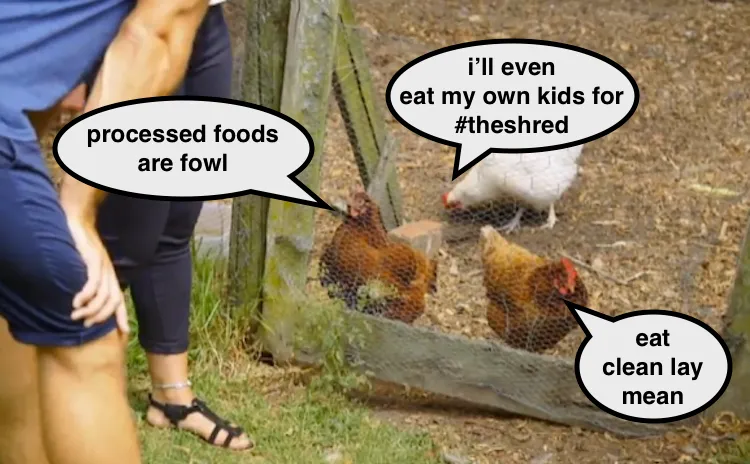 paleo