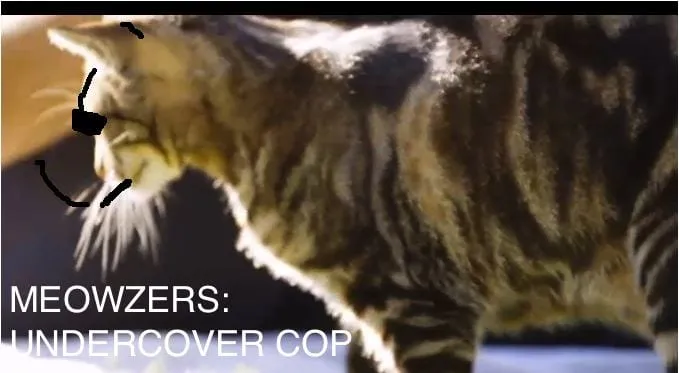 meowzers