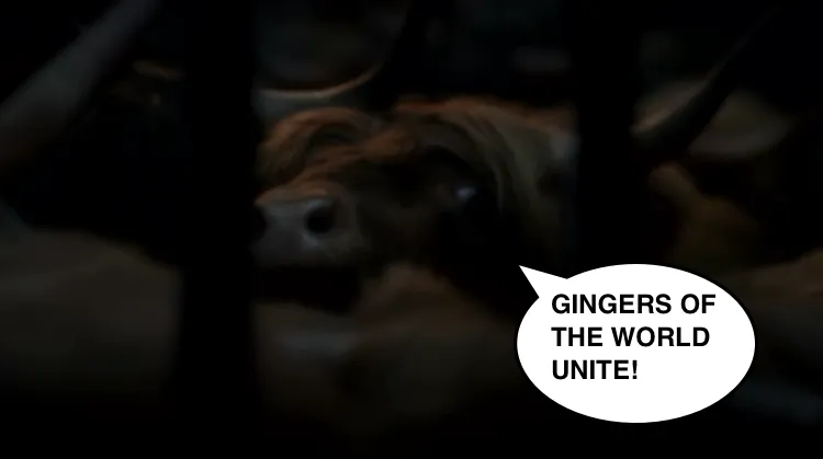 unnamed-4