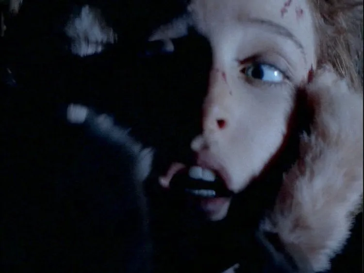 x-files-teso-dos-bichos
