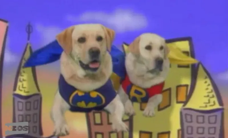 dog