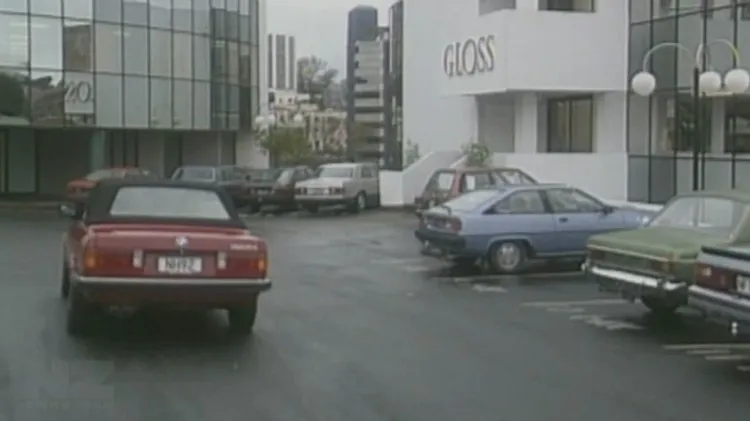 gloss
