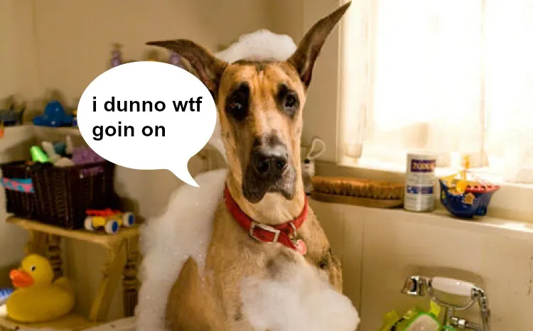 marmaduke