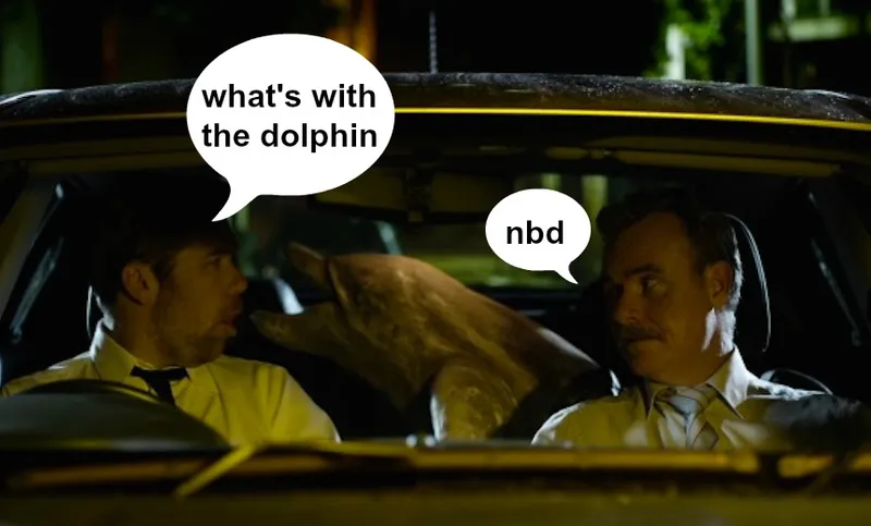 dolphin