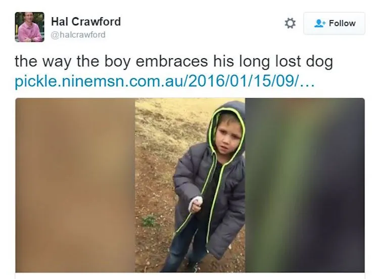 tweetdog
