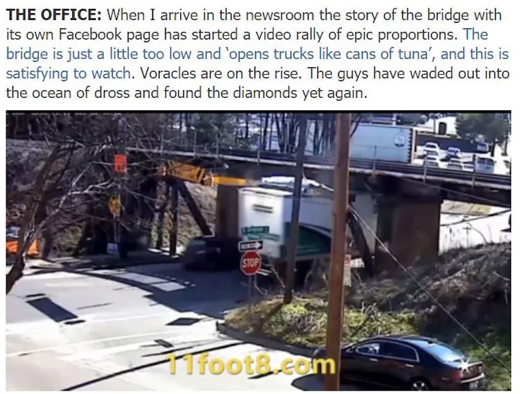 BridgeTuna