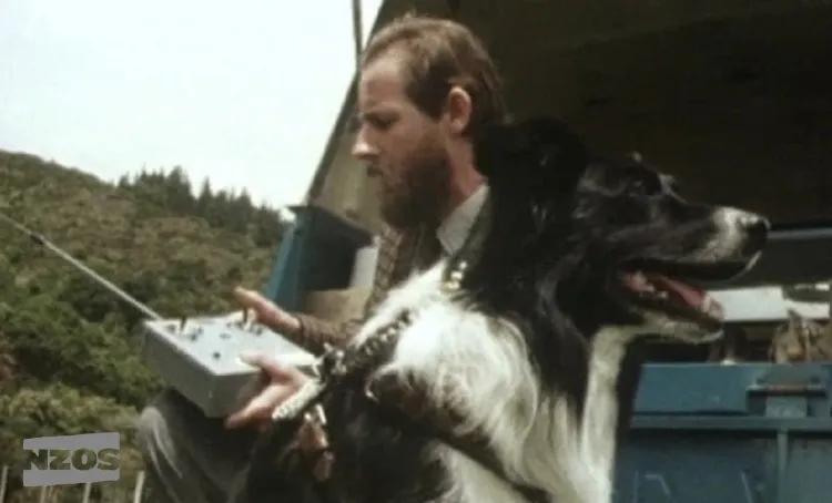 dogremote