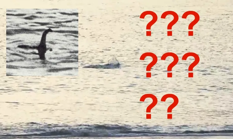 nessie