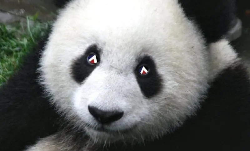 redpanda