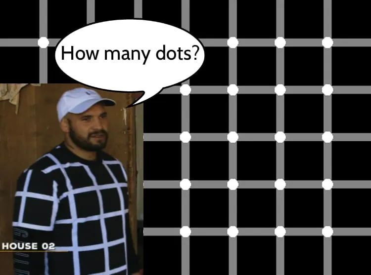 opticalhayds
