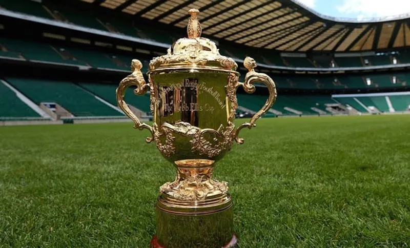 Cup