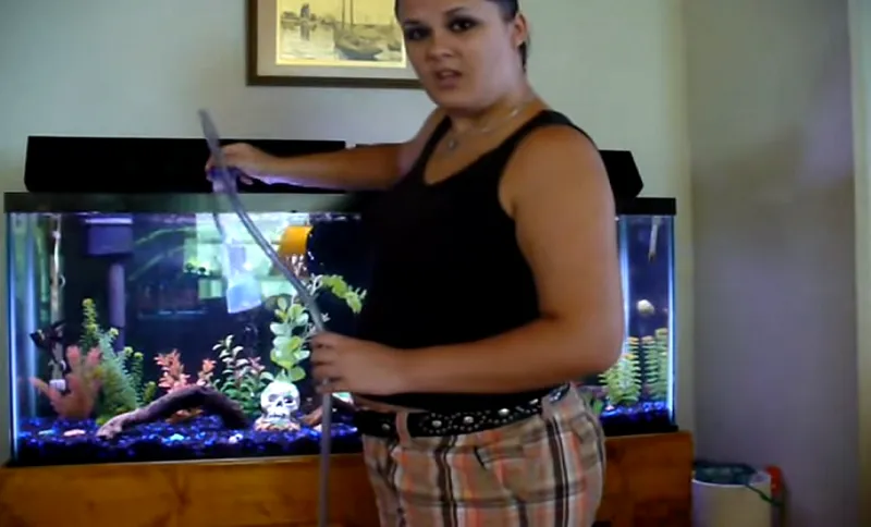 Fish 3