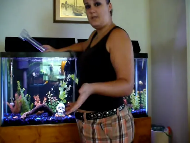 Fish 4