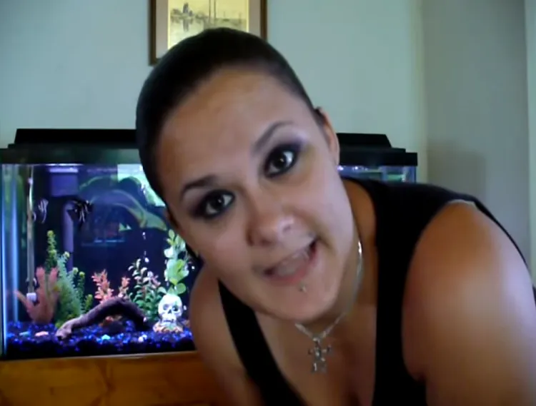 Fish 6
