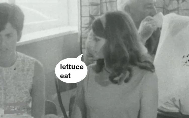 lettuce