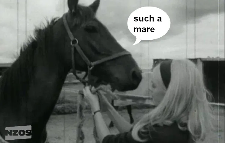 mare