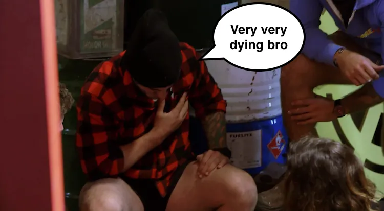 Dyls dying