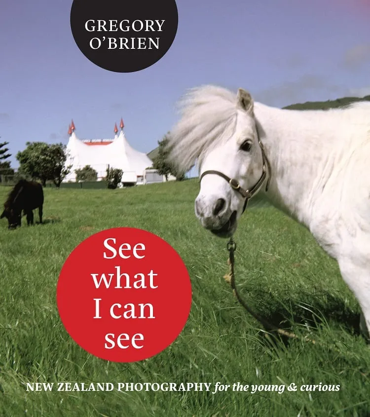 Obrien_See-what-I-can-See_big1