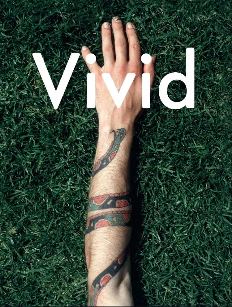 vivid cover