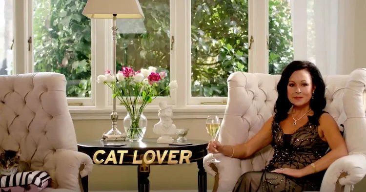 Cat Lover
