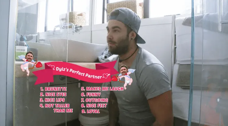 Dyls checklist