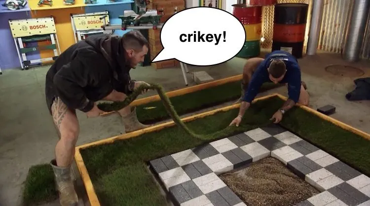 Steve Irwin snake copy