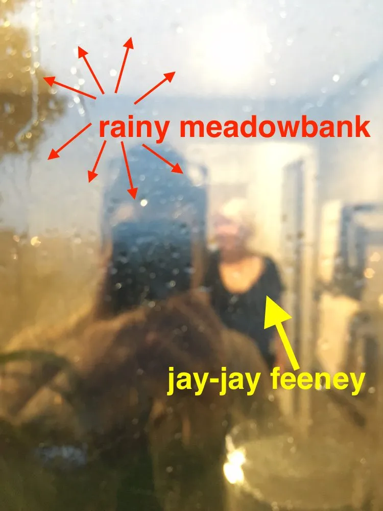rainy feeney copy