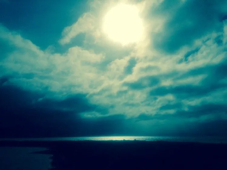 Wairau