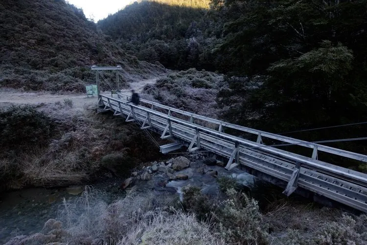 bridge