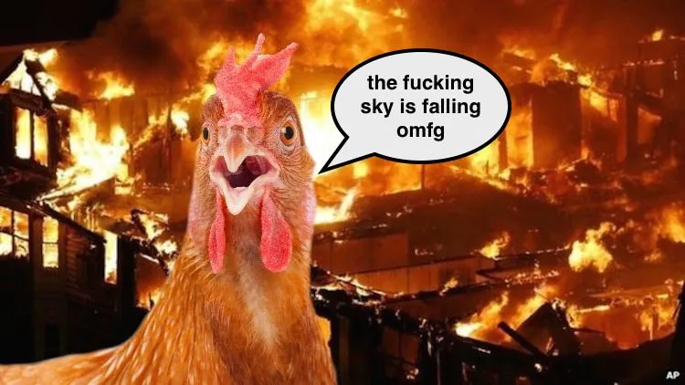 chicken