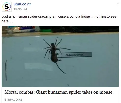 clickbait_stuff_2